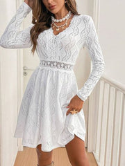 V Neck Long Sleeve Mini Dress