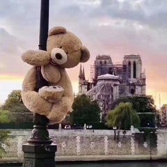 100cm Giant Teddy Bear Plush Toy Stuffed Animal High Quality kids New Year Gift Toys Birthday Gift Valentine's Day Gifts