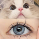 Taylor Blaugraue Kontaktlinsen (12 Monate Tragezeit)