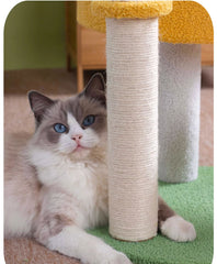 Lindo árbol para gatos con forma de calabaza