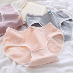 Lindas bragas de frutas