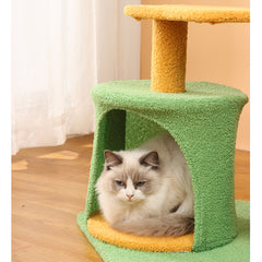 Árbol para gatos Dream Spring Buds