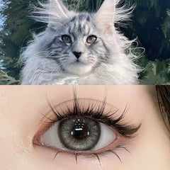 Thailändische Milchtee-Kontaktlinsen (12 Monate Tragezeit)