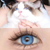 Uncharted Waters Contact Lenses(12 months wear)