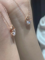 Collar de ballena en el mar