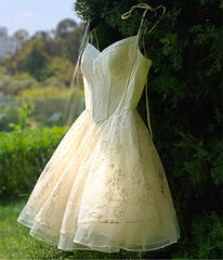 Vestido de ballet con corsé de princesa
