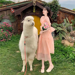 Vestido de gasa de princesa kawaii color melocotón ruborizado