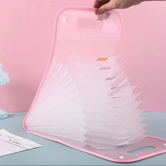 Large Capacity Document Organizer Storage Folder