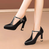 Pumps