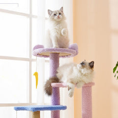 Moon Cute Cat Tree