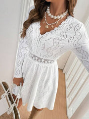 V Neck Long Sleeve Mini Dress