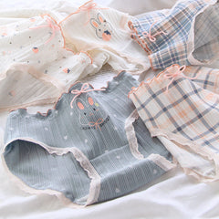 Lindas bragas de conejita