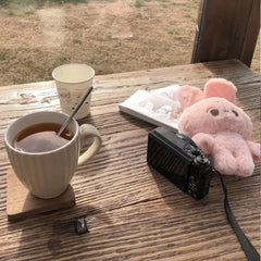 Tongzi Cute Rabbit Plush Toy