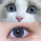Blue Whale Contact Lenses(12 months wear)