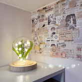 Maiglöckchen-Nachtlicht-DIY-Material