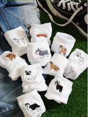 Calcetines bordados para perros