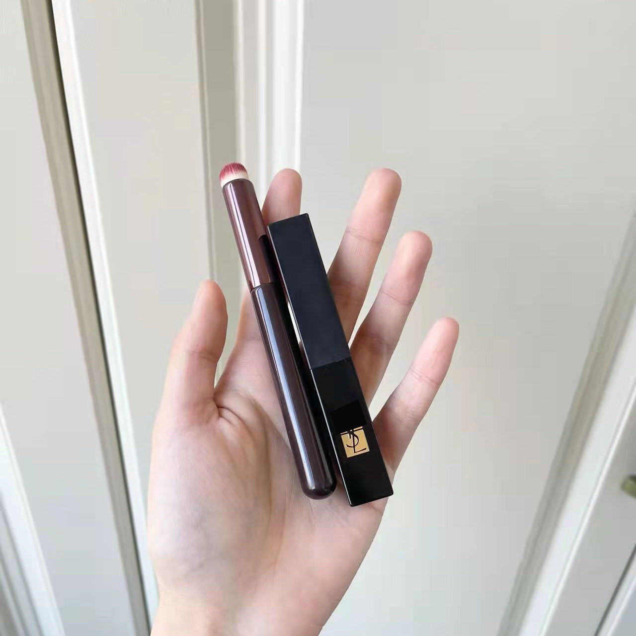 Portable Multi-Purpose Lip Brush