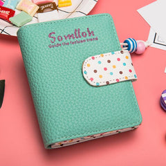 Somlloh Dot Wallet