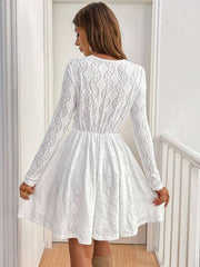 V Neck Long Sleeve Mini Dress