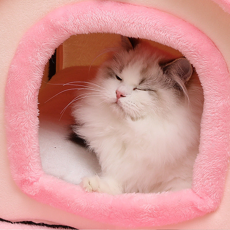 Cute Red House Princess Cat Litter