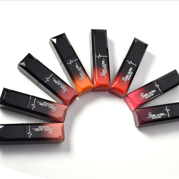 Classical Color System Lip Gloss