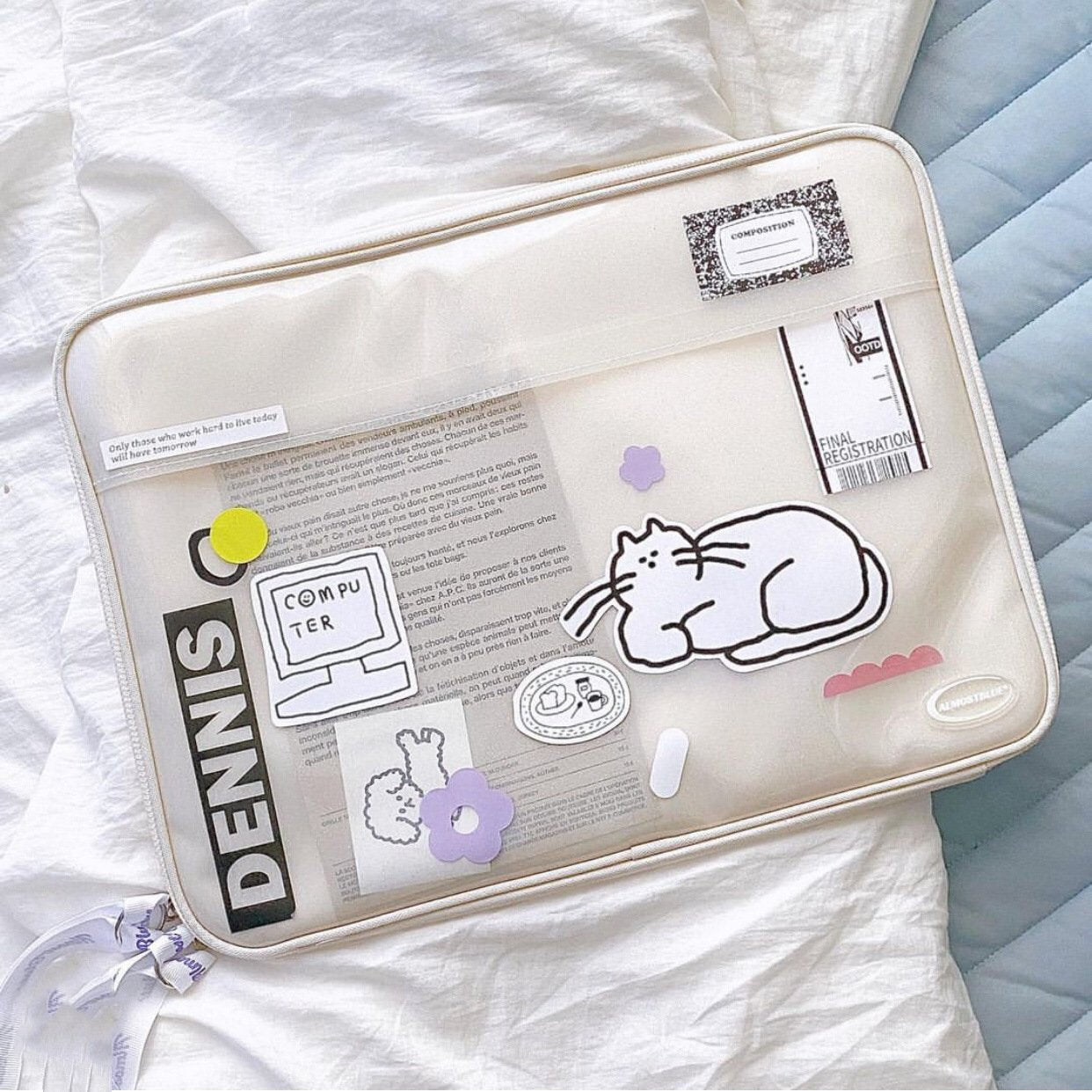 Transparent Ipad Laptop Bag