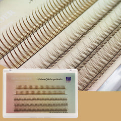 Caramel Brown Fishtail A-Type False Eyelashes