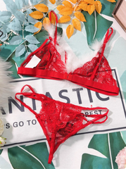 Christmas Red Sheer Lace Deep V Lingerie Set