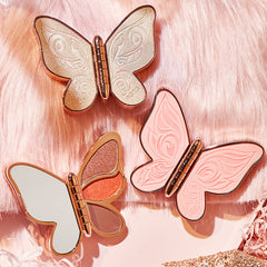 Butterfly Plate Design 6 color Eyeshadow