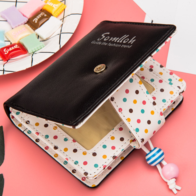 Somlloh Dot Wallet