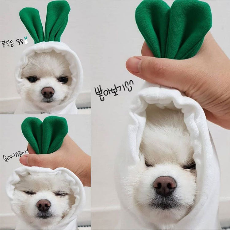 Cute Fleece Hooded Pet Hoodie