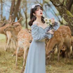 Adette Vintage-inspired Fairycore Princess Dress