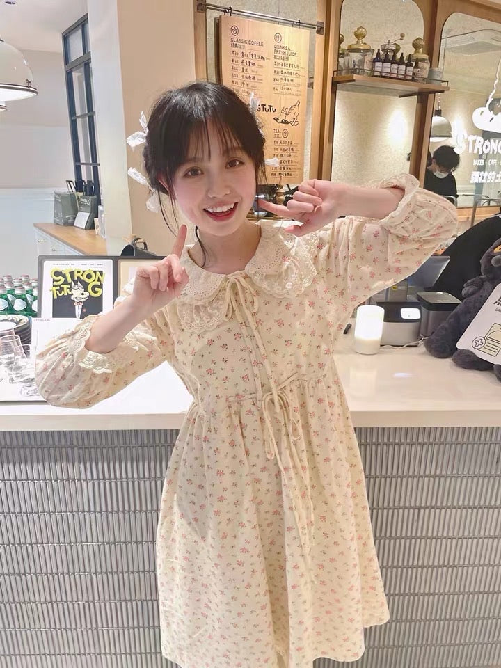 Evangeline Autumn Cottagecore Dress