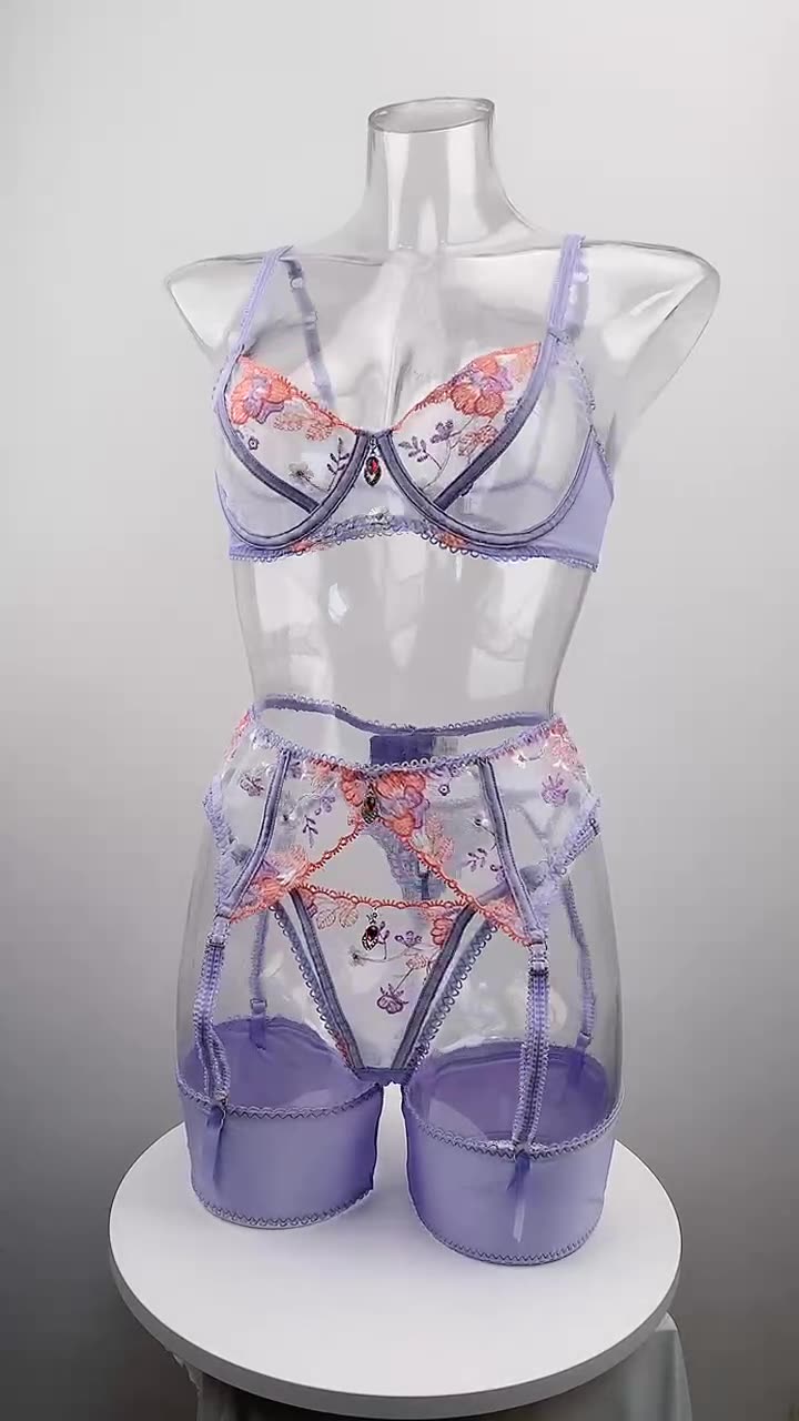 Embroidered Mesh Lingerie Set