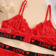 Red Plus Size Sexy Lace Bra Set