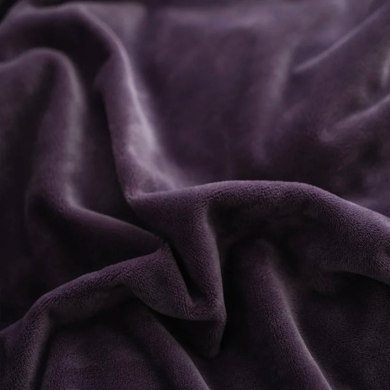 4Pcs Winter Thickened Milk Velvet Luxury Purple Bedding Set