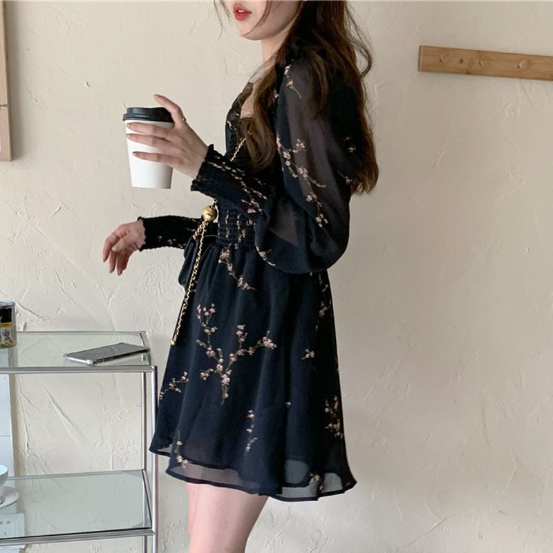 Feronia Vintage Chiffon Dress