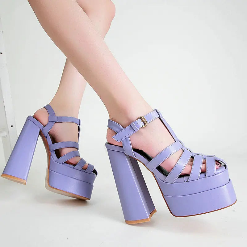 Women Autumn Thick Heels