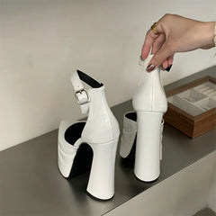 Pointy Water-Proof Platform Chunky Heels