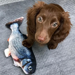 Floppy Fish™ – Interaktives Hundespielzeug