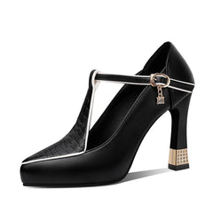 Pumps