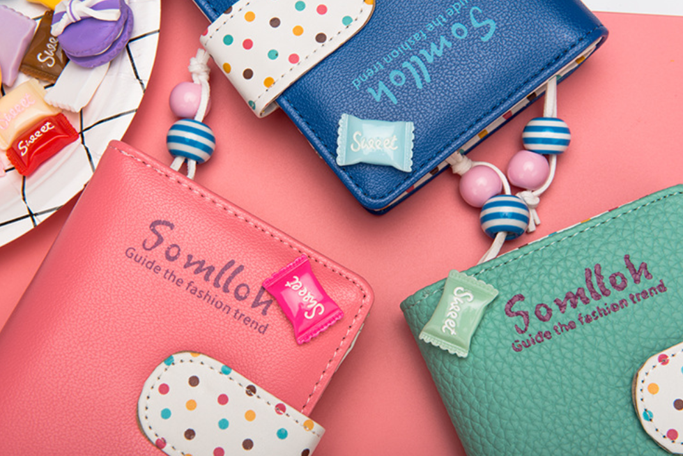 Somlloh Dot Wallet