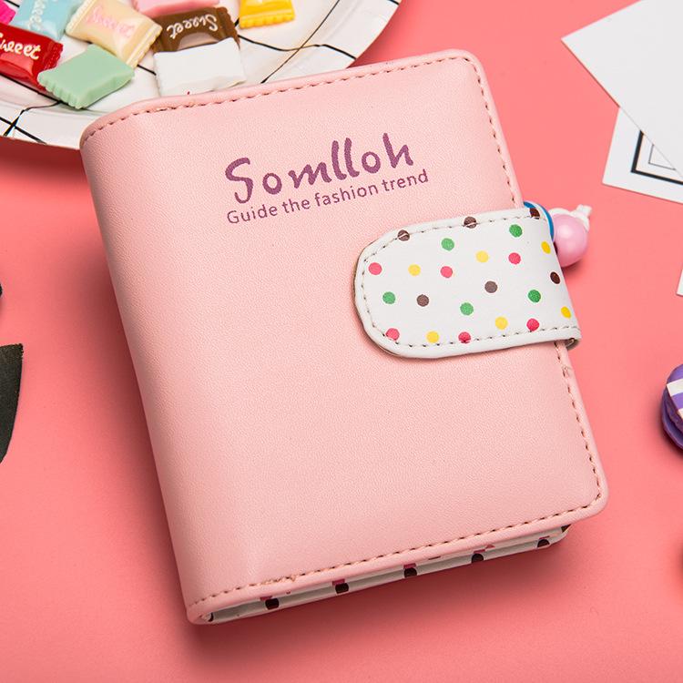 Somlloh Dot Wallet