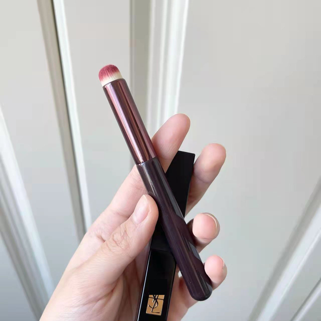 Portable Multi-Purpose Lip Brush