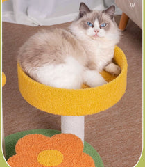 Cute Pumpkin Cat Tree