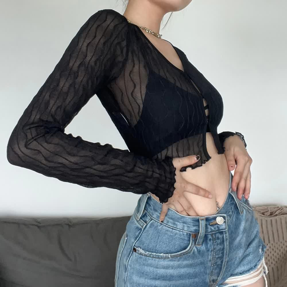 Black Gothic Sheer Mesh Long Sleeve Crop Top