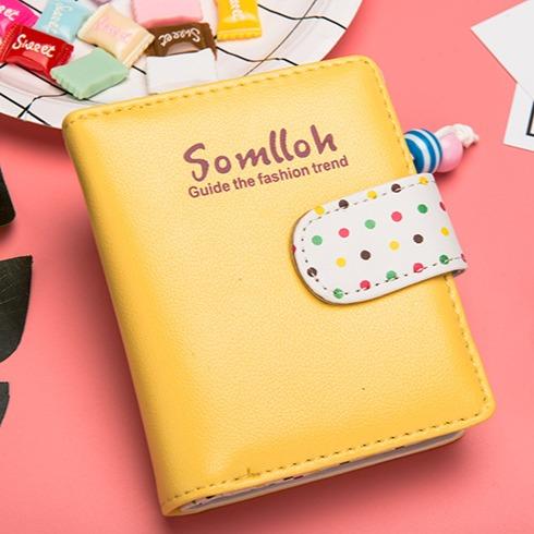 Somlloh Dot Wallet