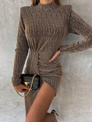 Mock Neck Long Sleeve Mini Dress