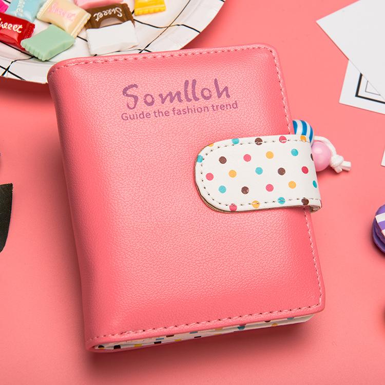 Somlloh Dot Wallet