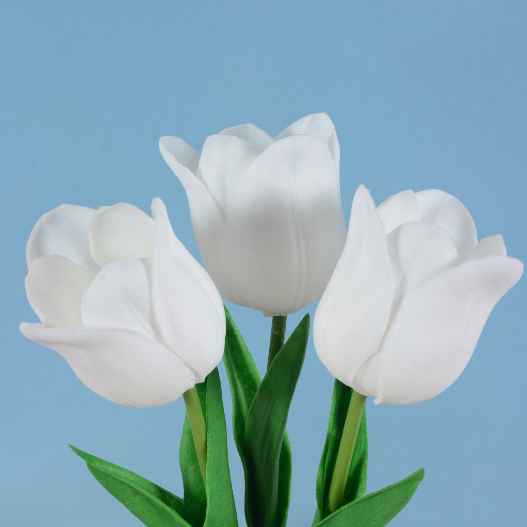 ã€?pcs】Tulip Big Flower Lamp